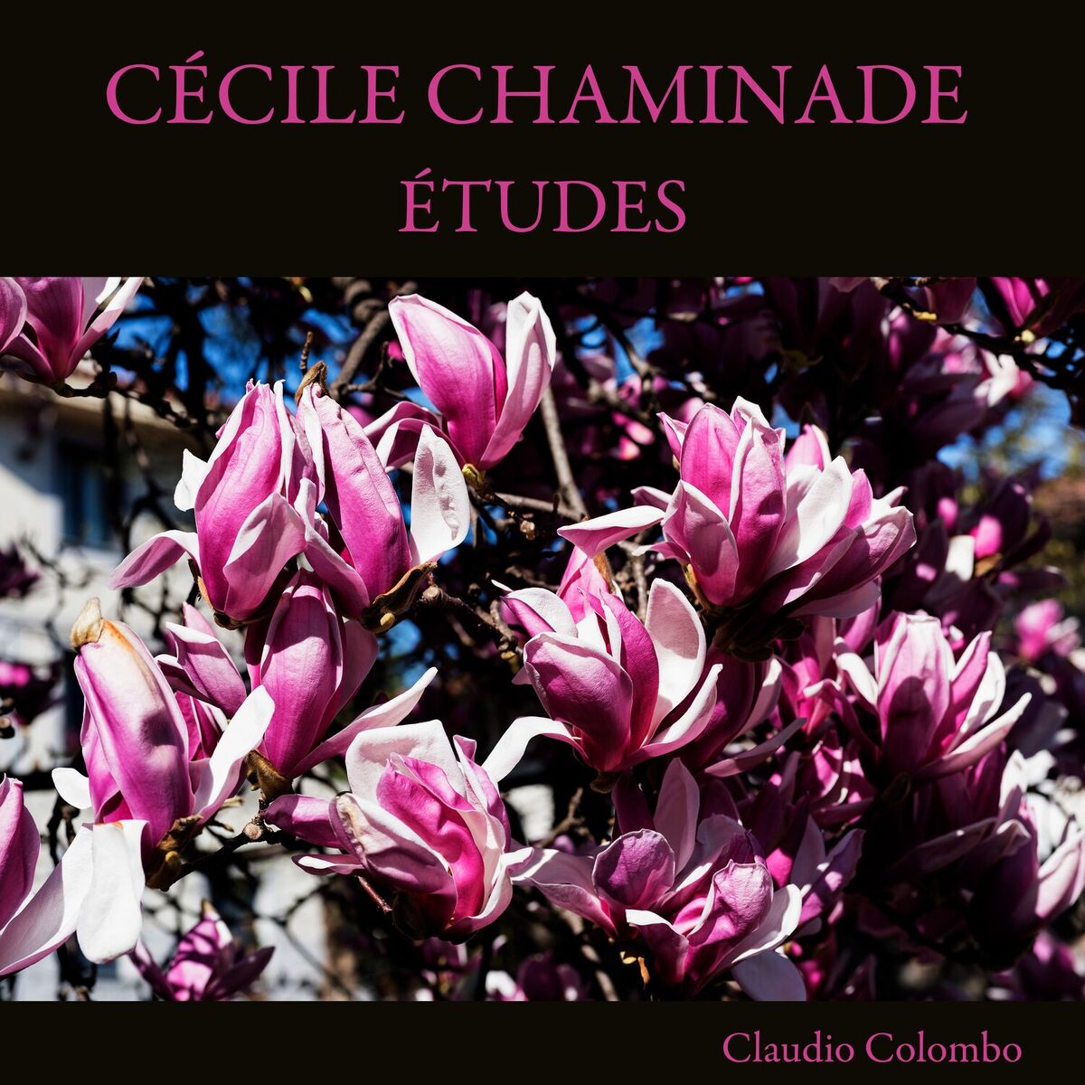 Album cover of Cécile Chaminade: Études