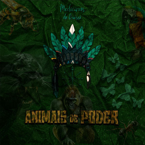Animais de Poder by Medicinas de Oxossi - 100 BPM