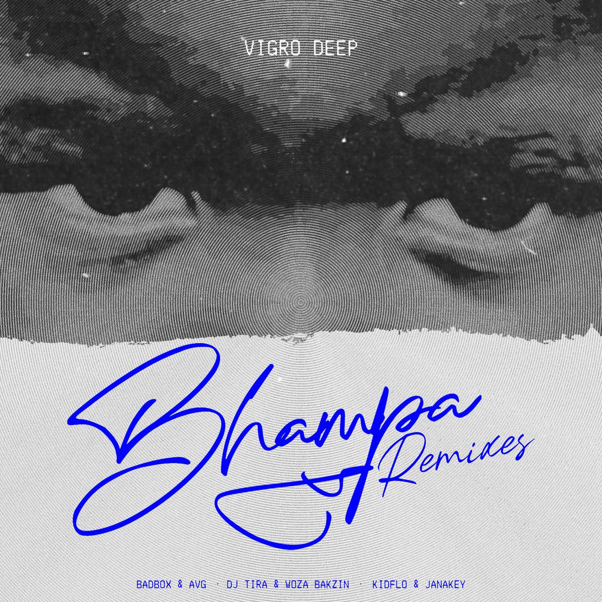 Album cover of Bhampa (Remixes)