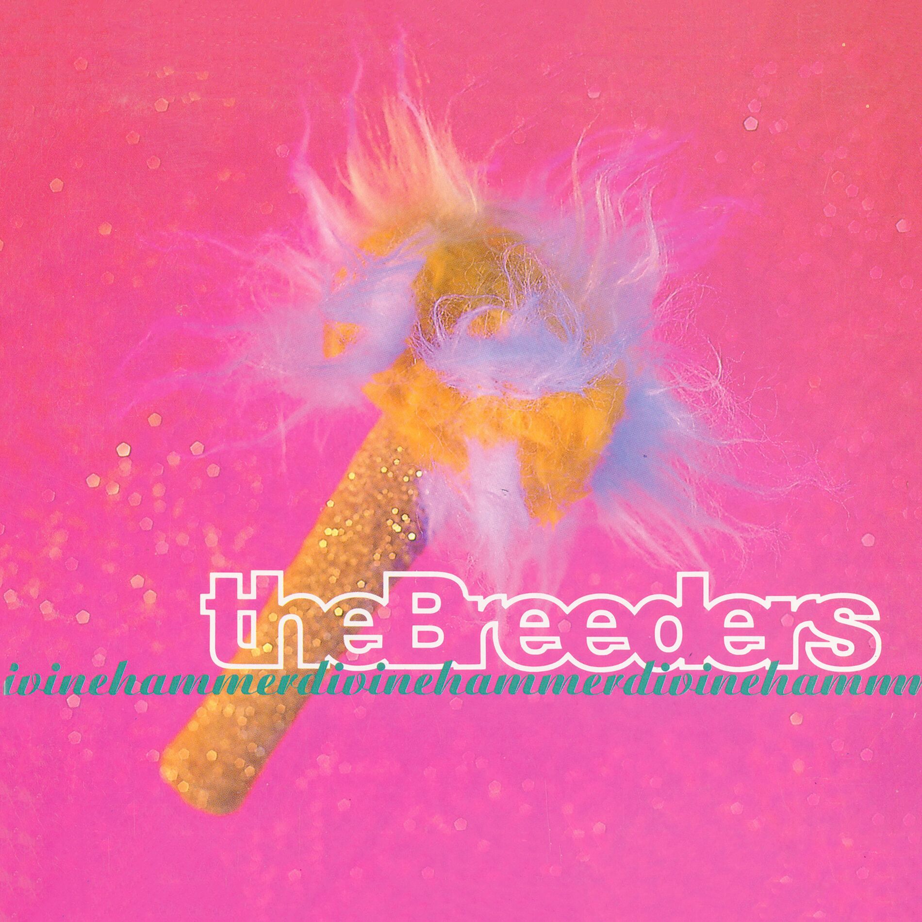 Album cover of Divine Hammer