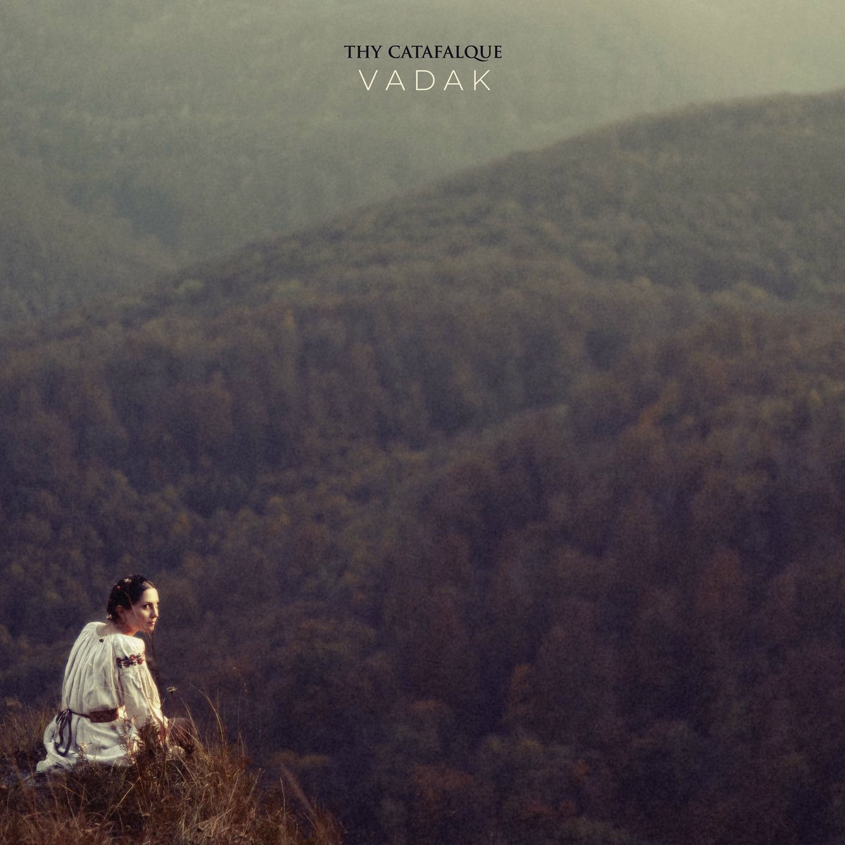 Album cover of Vadak