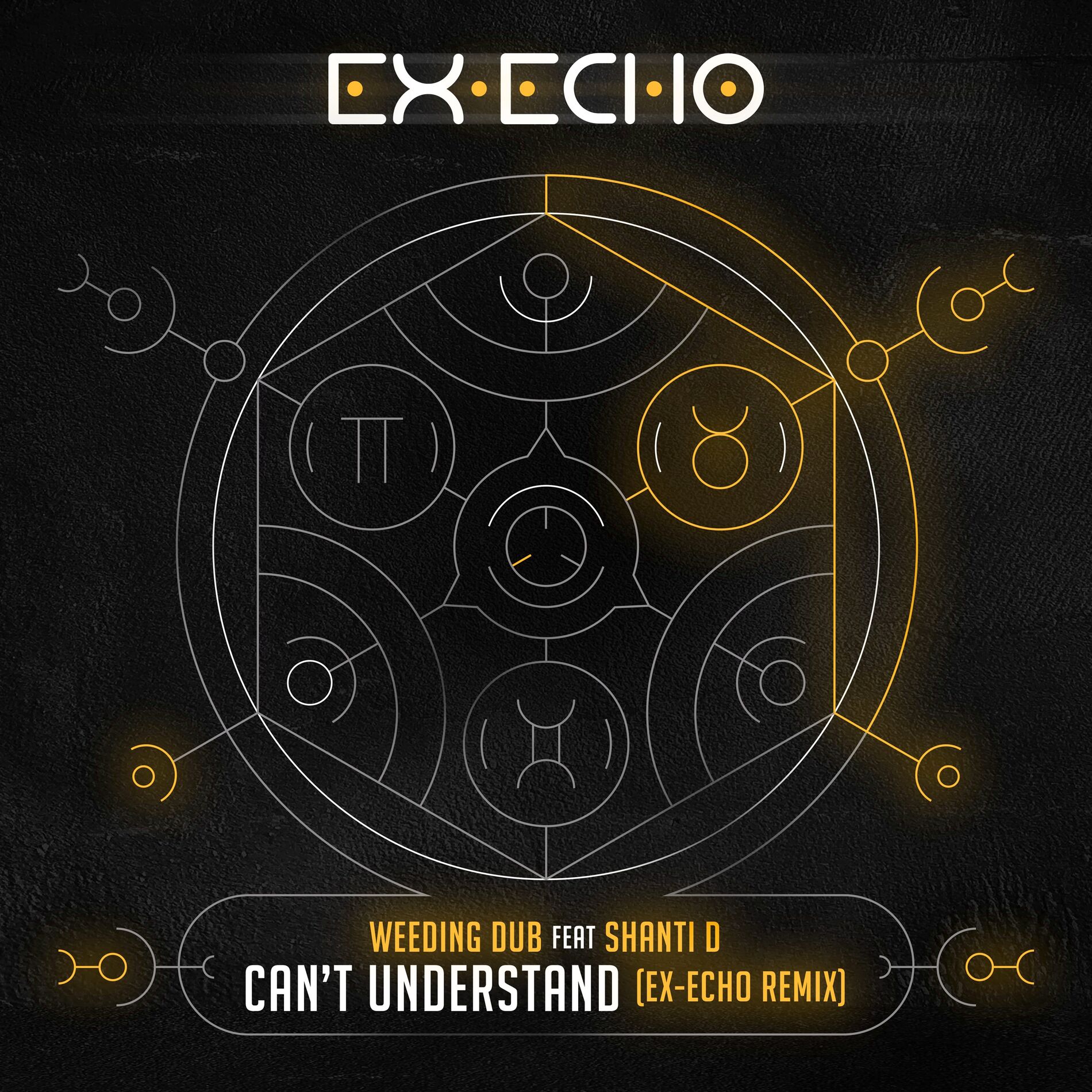 Album cover of Can't Understand (Ex-Echo Remix)