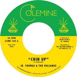 Cover of Chin Up / Spellbound