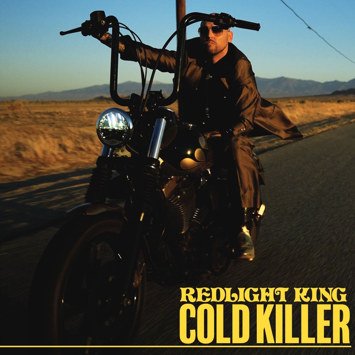 Album cover of Cold Killer