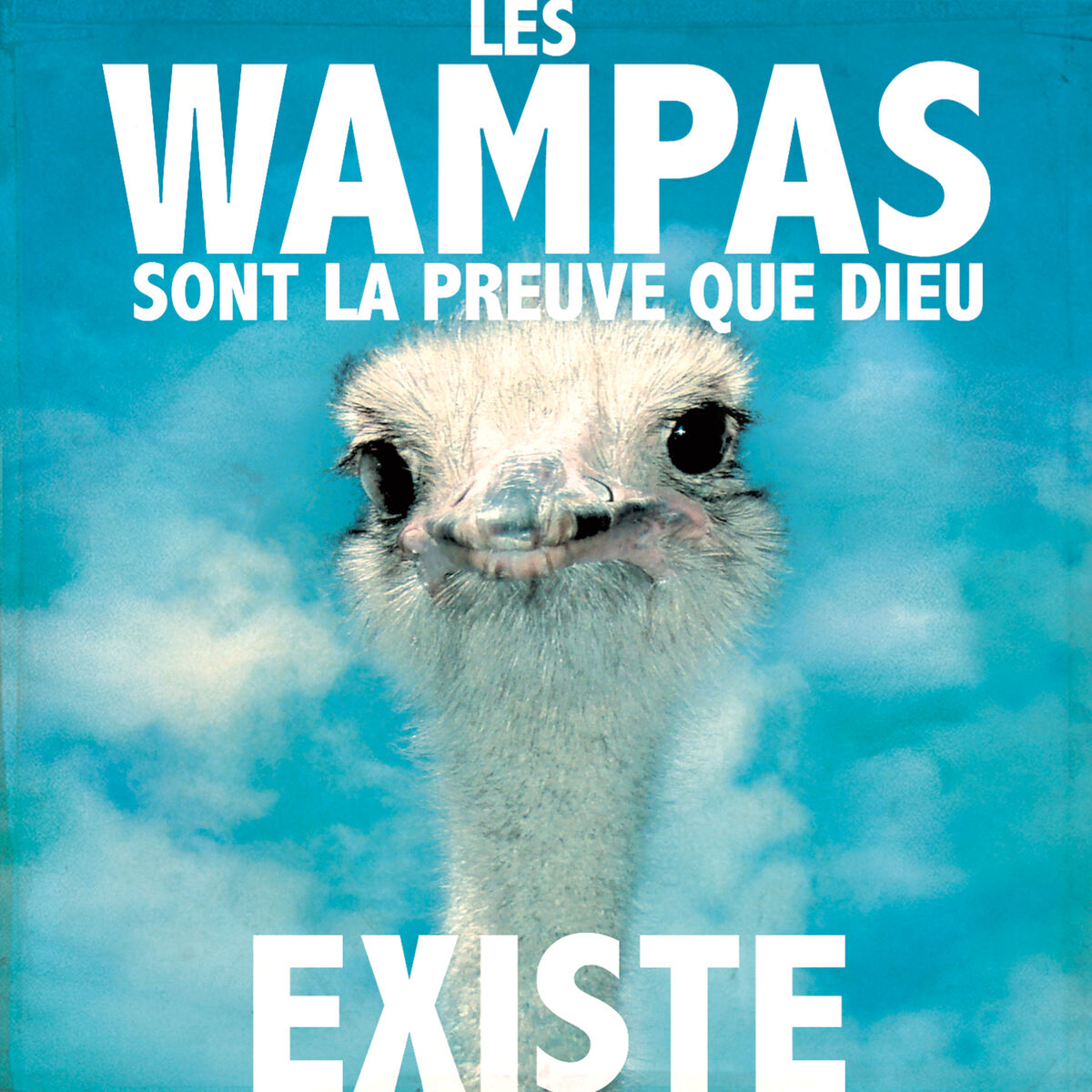 Album cover of Persistance rétinienne