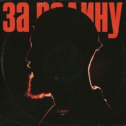 Cover of За Родину
