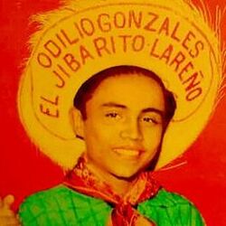 Cover of El Jibarito Lareño