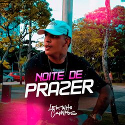 Cover of Noite de Prazer