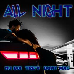 Cover of All Night