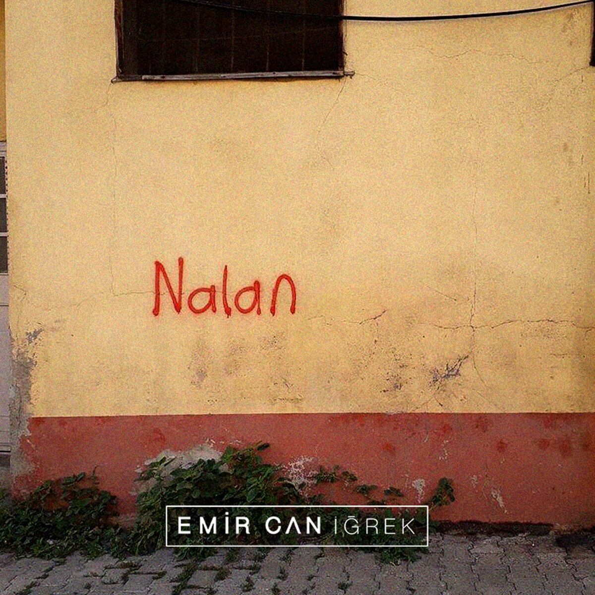 Album cover of Nalan