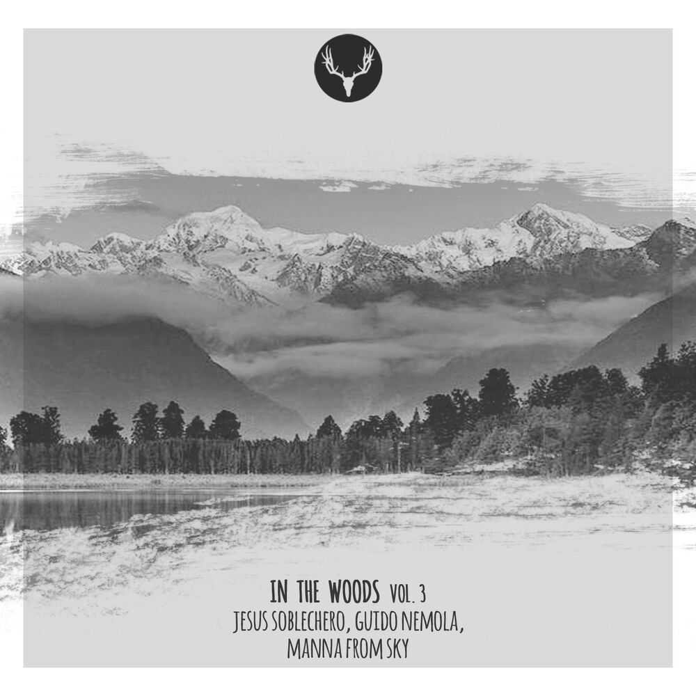 Picture of In The Woods Vol. 3