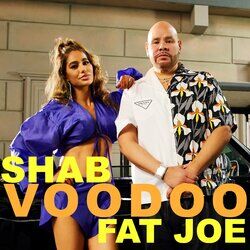 Cover of VooDoo