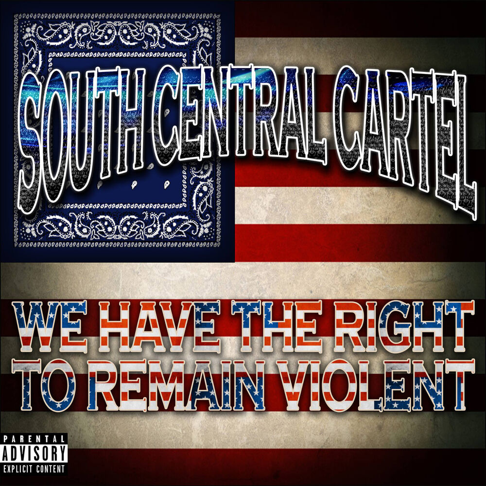 Picture of We Have the Right to Remain Violent