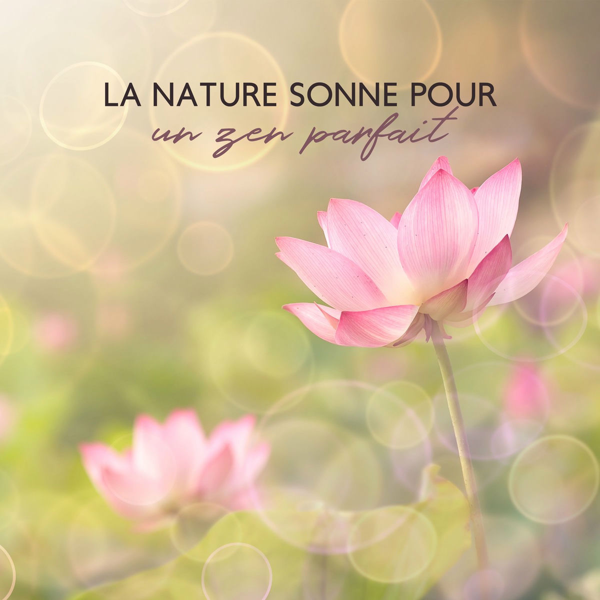 Album cover of La nature sonne pour un zen parfait: La méditation curative de la nature, Les sons de la nature relaxants instrumentaux, Les magni