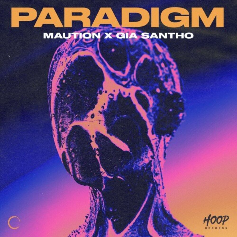 Picture of Paradigm
