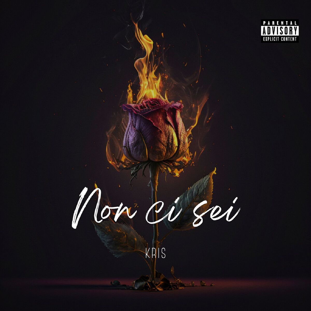 Album cover of NON CI SEI