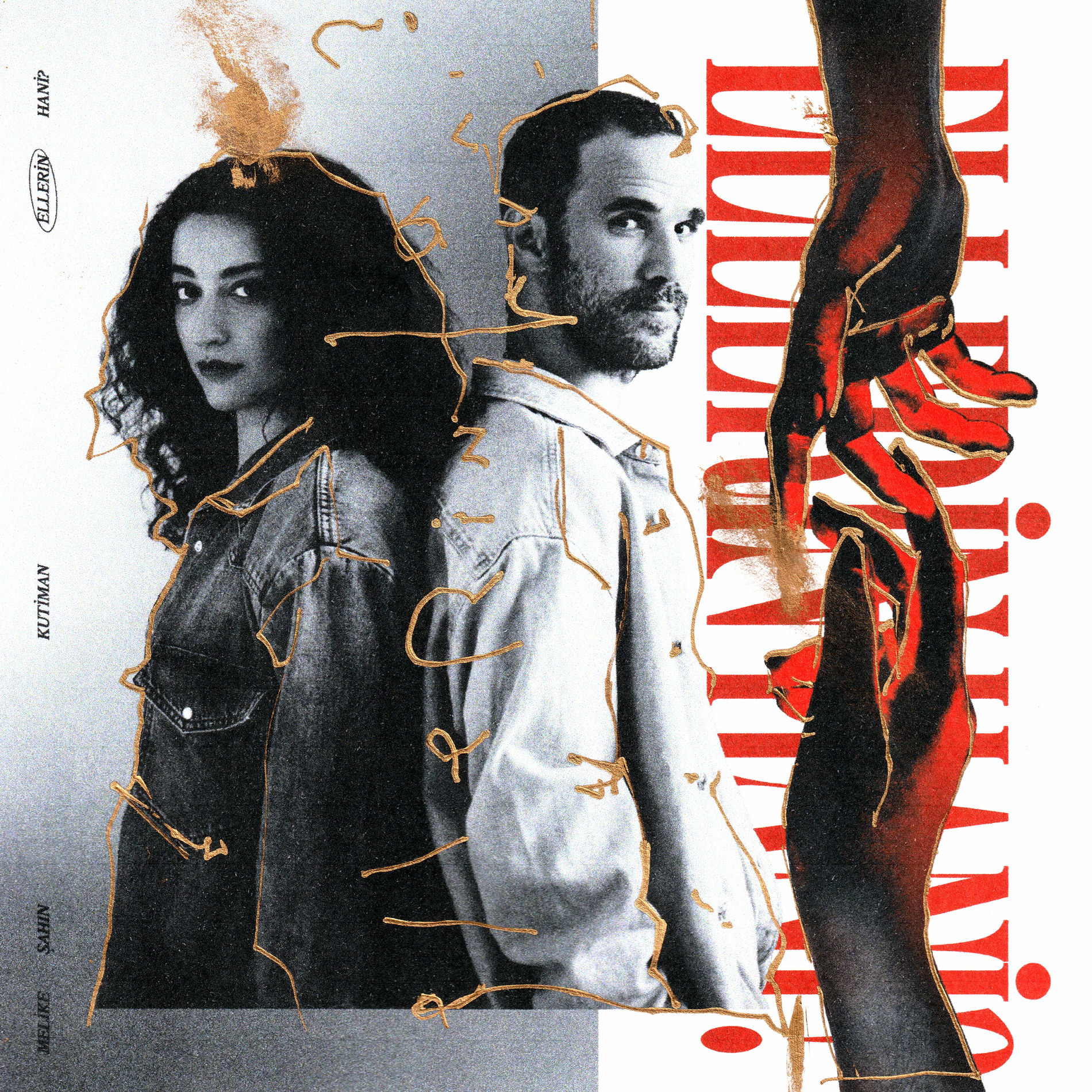 Album cover of Ellerin Hani