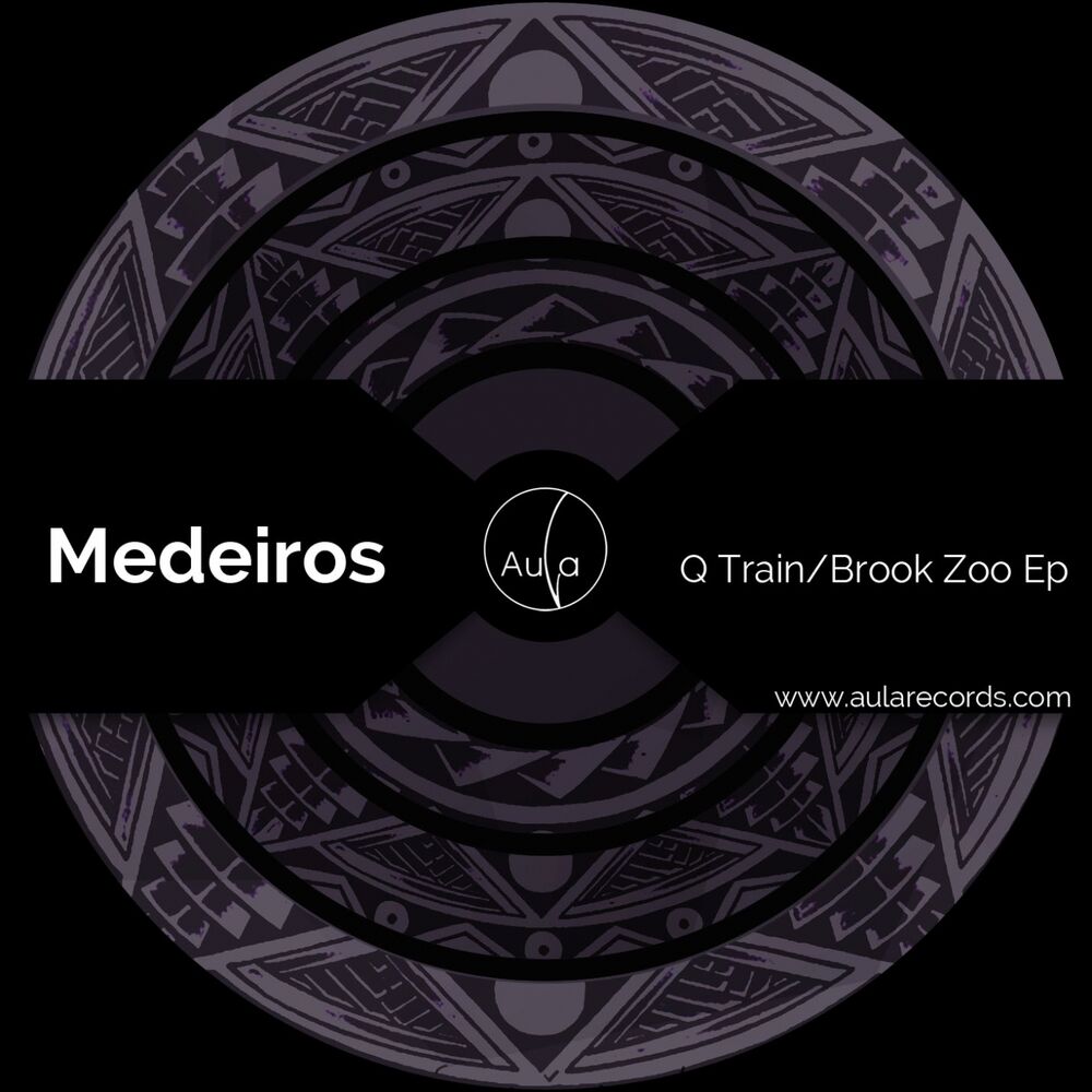 Picture of Q Train/Brook Zoo Ep