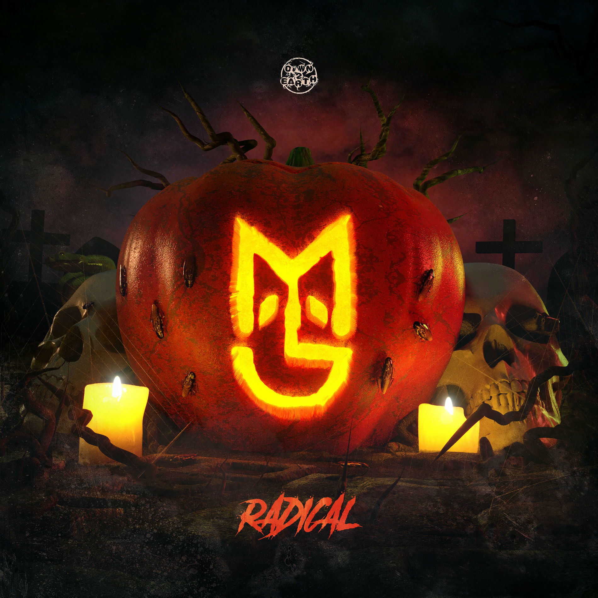 Album cover of Radical