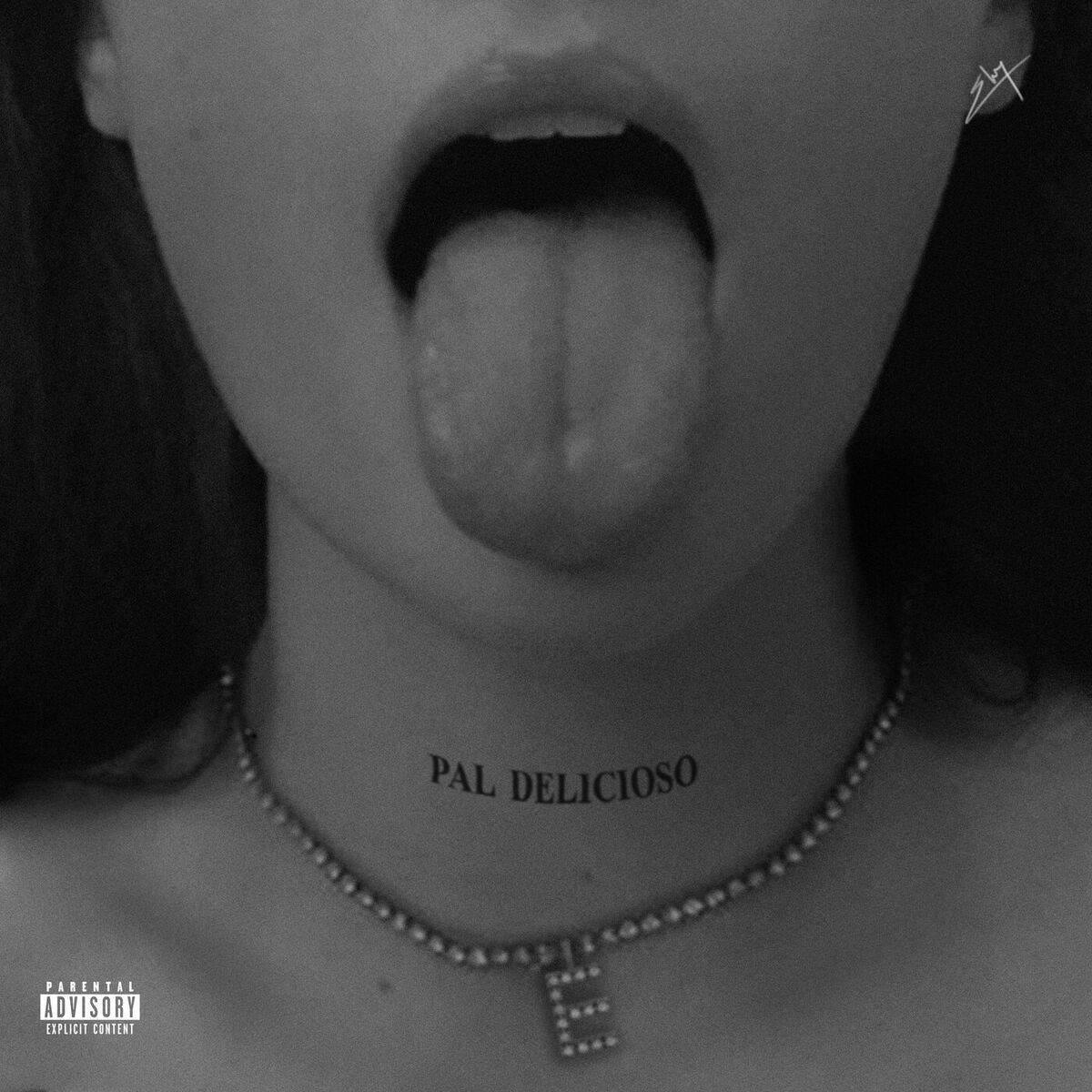 Album cover of PAL DELICIOSO