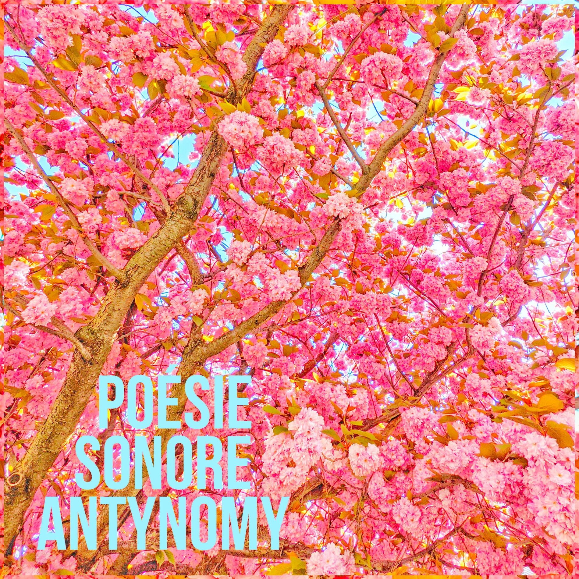 Album cover of Poésie Sonore
