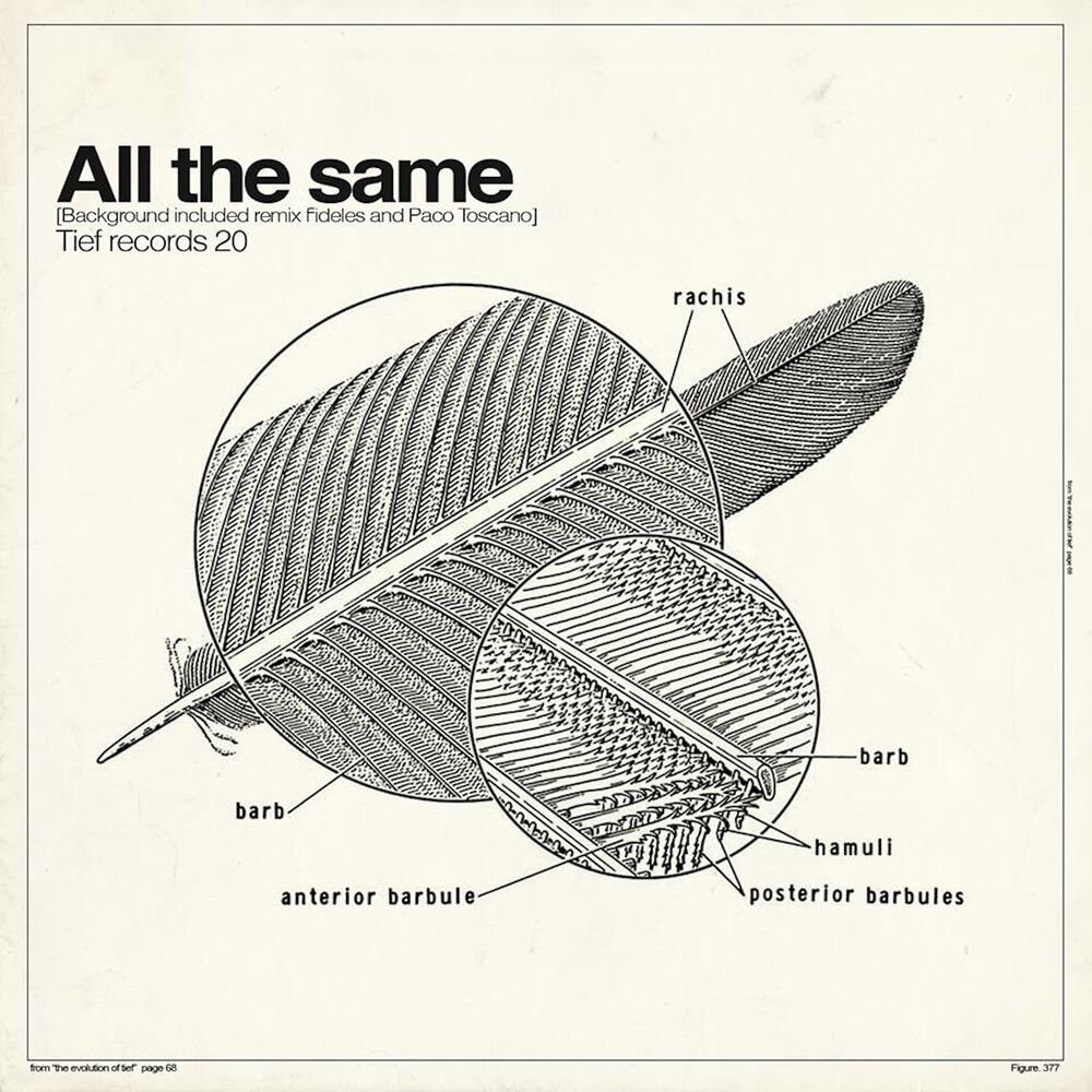 Picture of All the Same