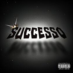 Cover of Successo