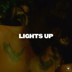 Cover of Lights Up