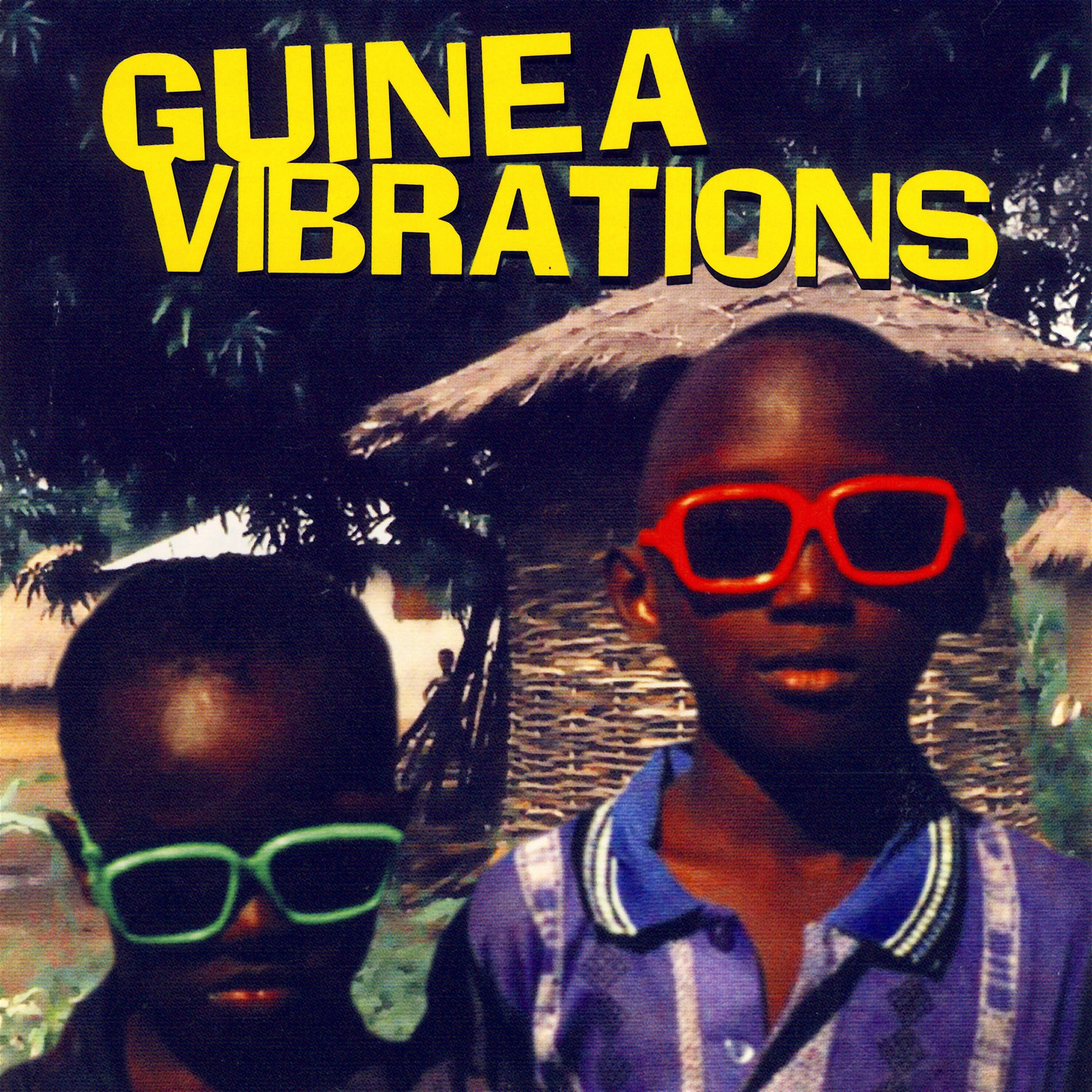 Album cover of Guinea Vibrations