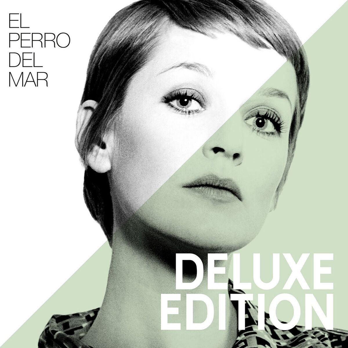 Album cover of El Perro Del Mar (Deluxe Edition)