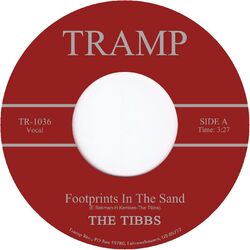 Cover of Footprints in the Sand