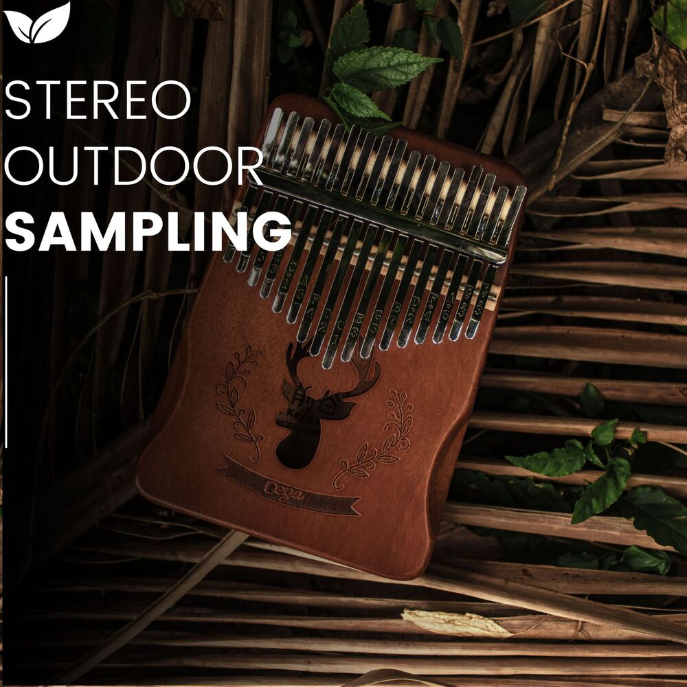 Picture of Echoes of the Wild Stereo Soundscapes from Nature