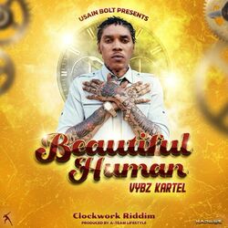 Cover of Beautiful Human