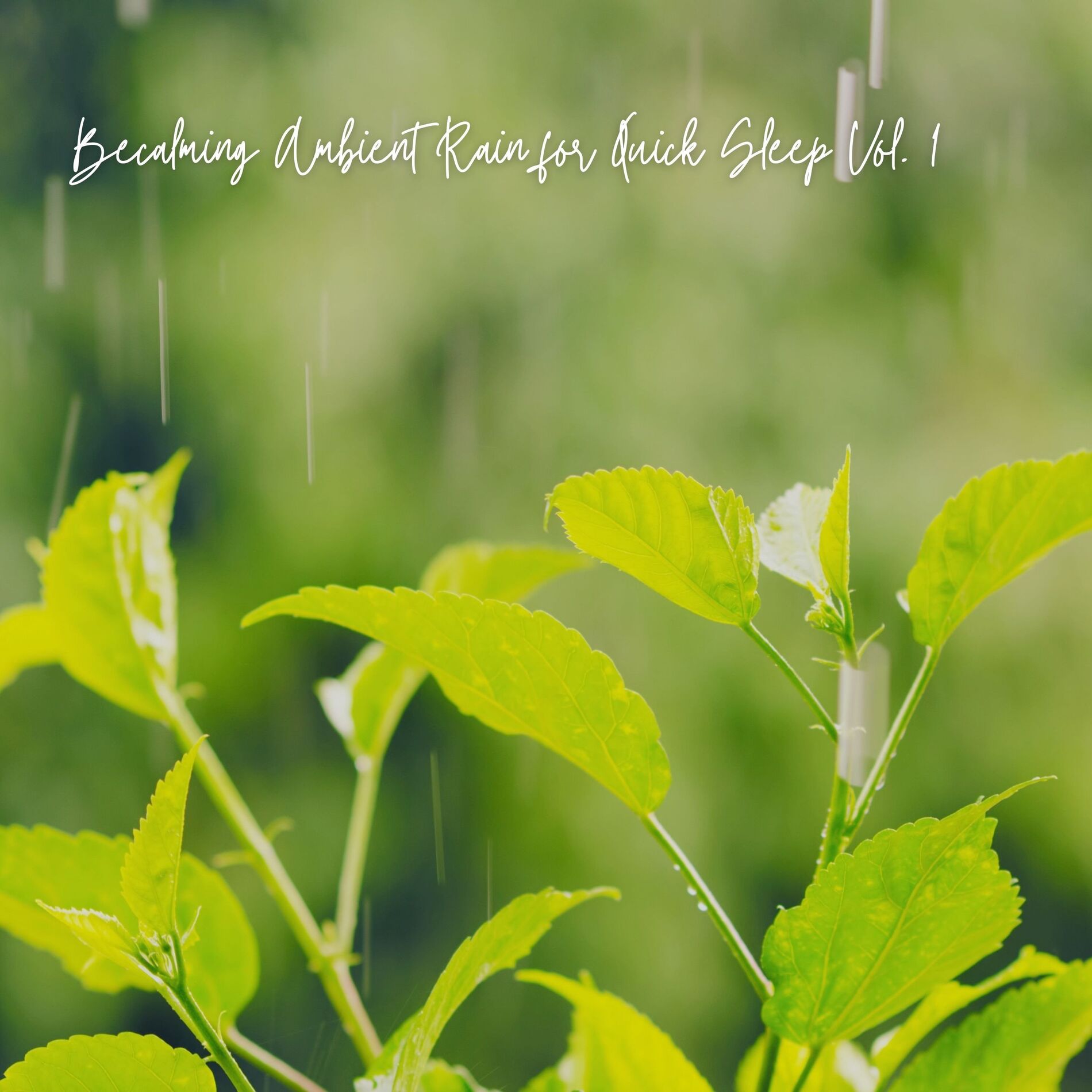 Album cover of Becalming Ambient Rain for Quick Sleep Vol. 1