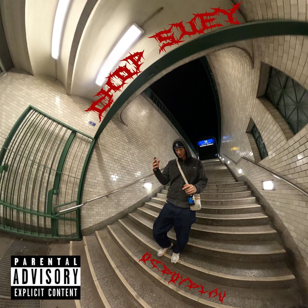 Album cover of Chop Suey