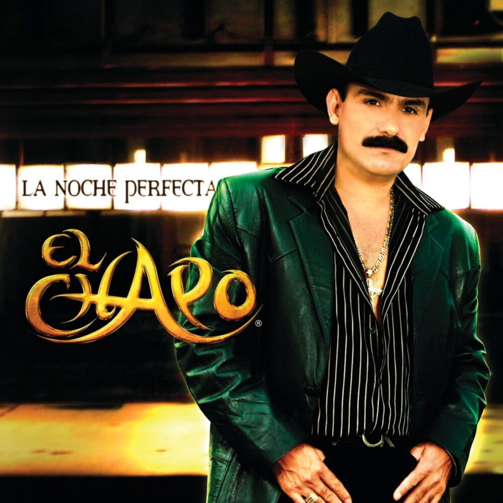 Picture of La Noche Perfecta