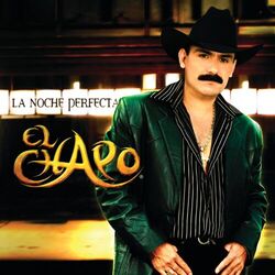 Cover of La Noche Perfecta