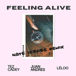 Cover of Feeling Alive (NATE SEBSIBE Remix)