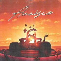 Cover of Amnésie