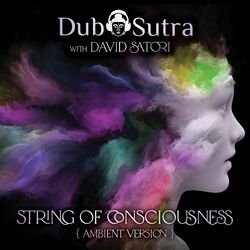 Cover of String of Consciousness (Ambient Version)