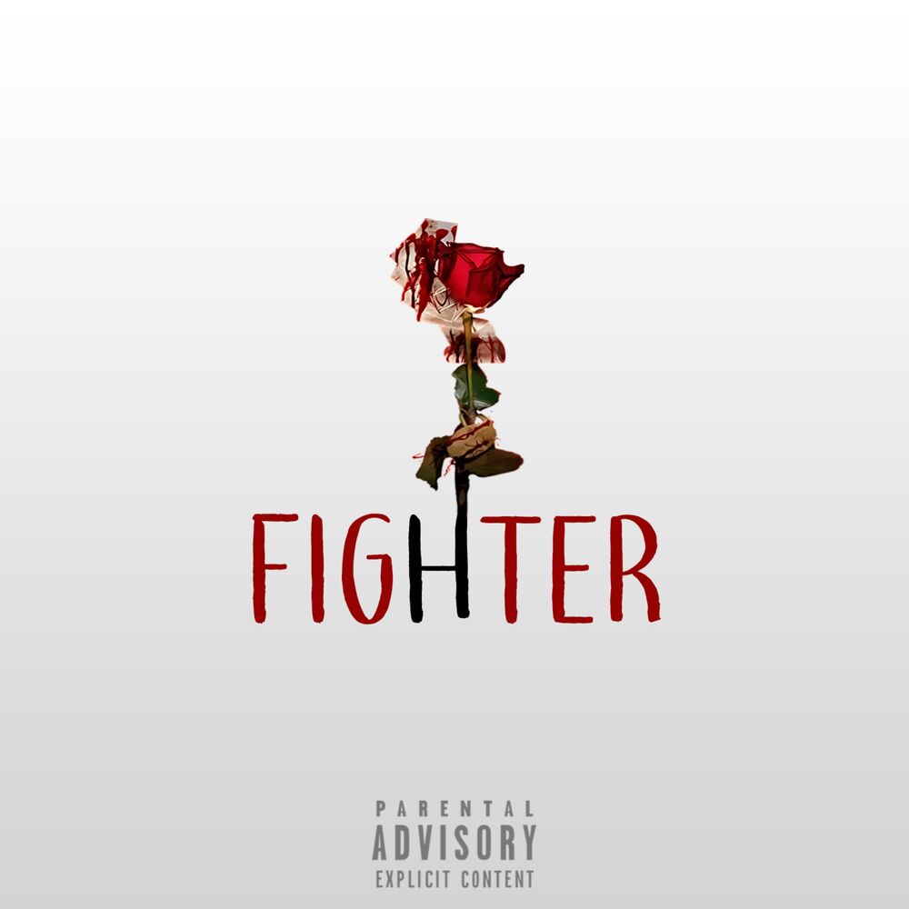 Picture of Fighter