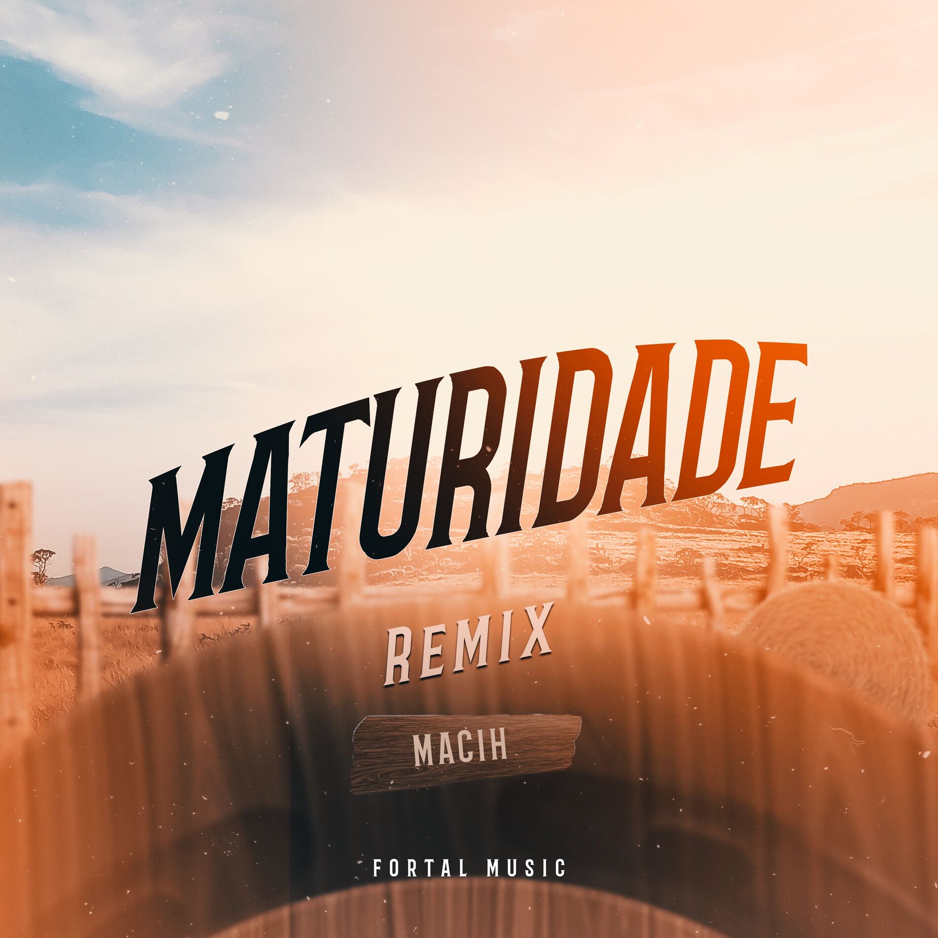 Album cover of Maturidade (Remix)