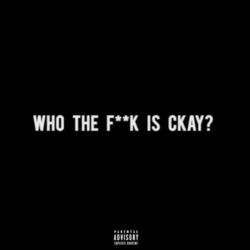 Cover of #WTFiCkay