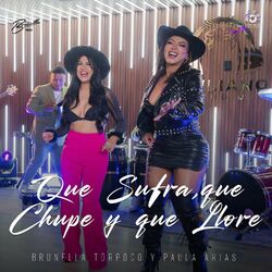 Cover of Que Sufra, que Chupe y que Llore