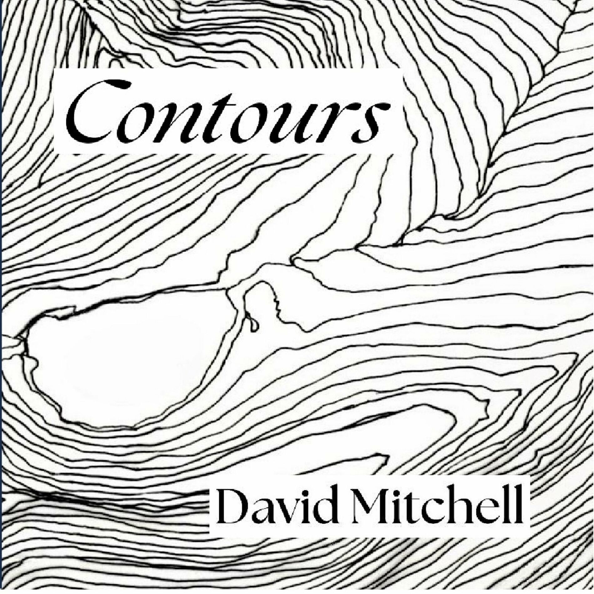 Album cover of Contours