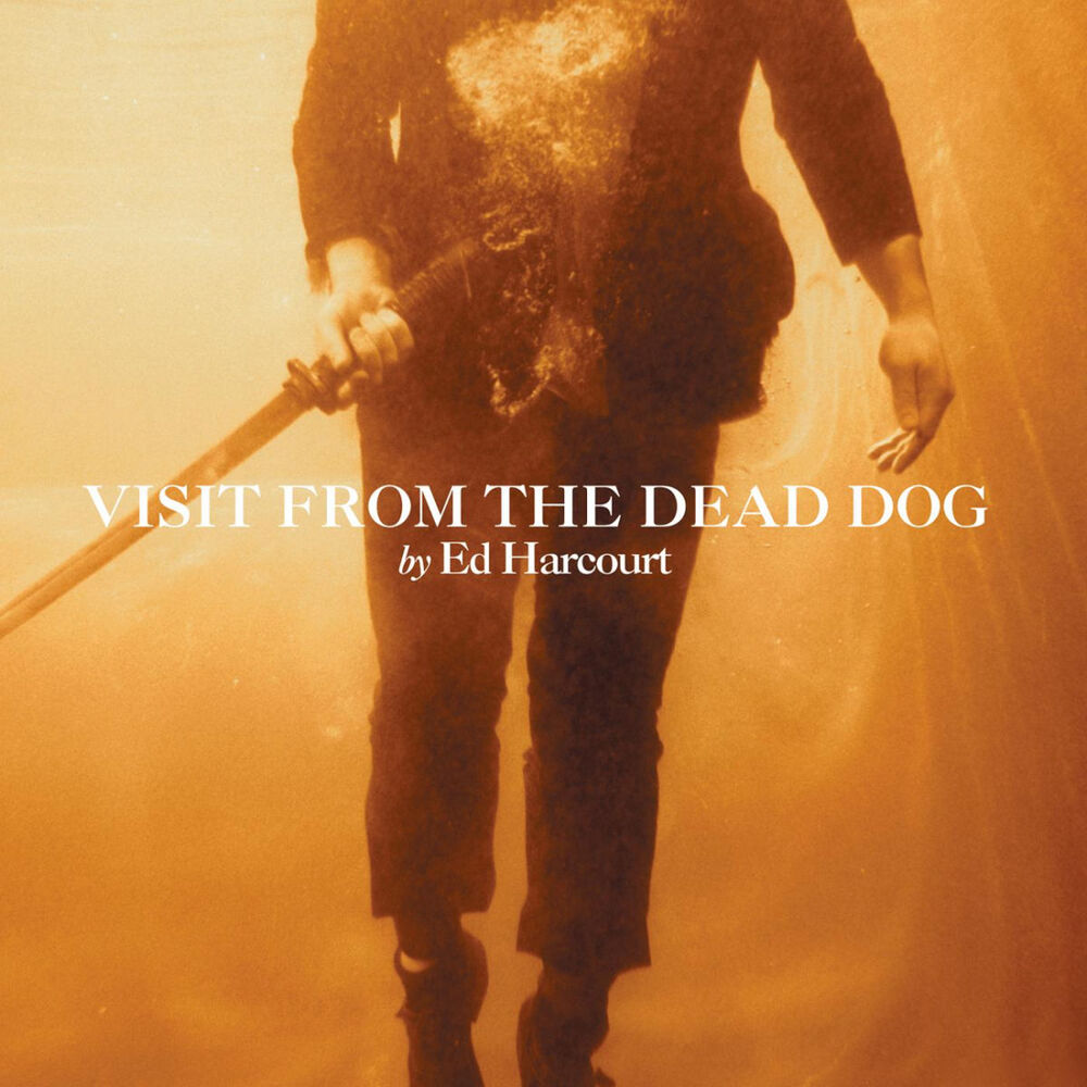 Picture of Visit From The Dead Dog