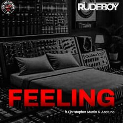 Cover of Feelings