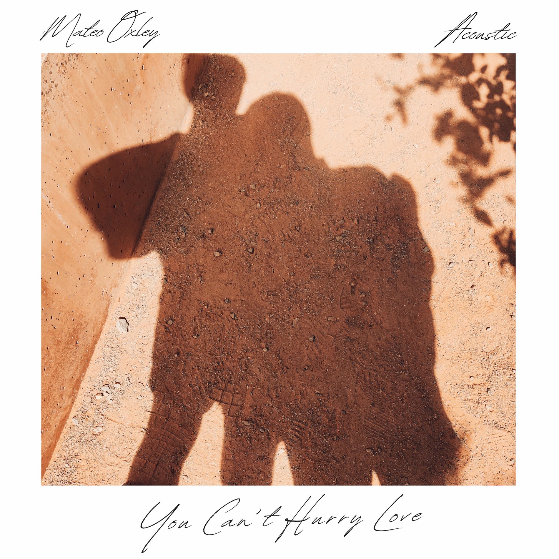 Album cover of You Can't Hurry Love (Acoustic)