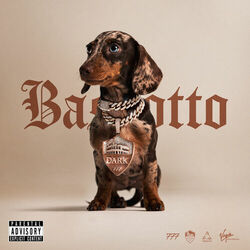 Cover of Bassotto