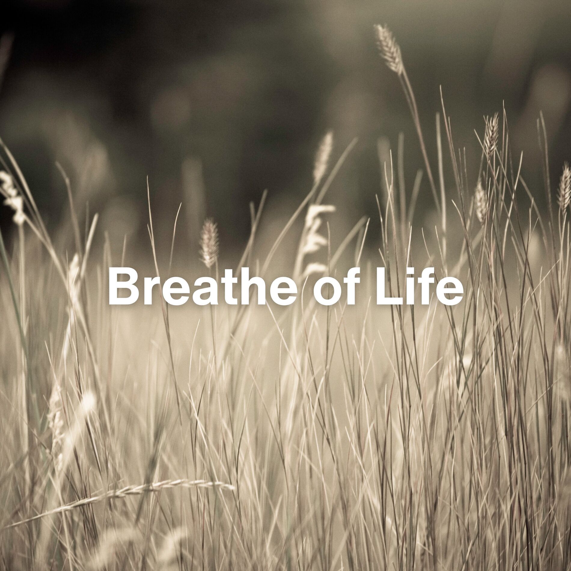 Album cover of Breathe of Life